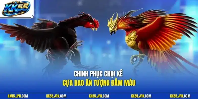 Chinh phục chọi kê cựa dao ấn tượng đẫm máu