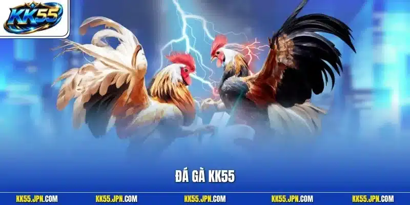 Đá gà KK55