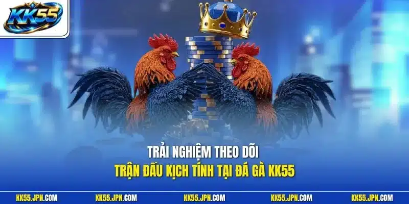 Trải nghiệm theo dõi trận đấu kịch tính tại đá gà KK55